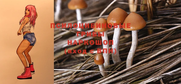 прущая мука Белокуриха