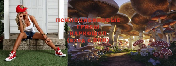 гашик Сосновоборск