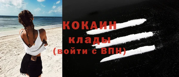 индика Белоозёрский