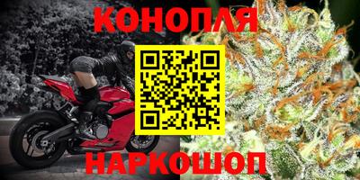 сатива Гагарин