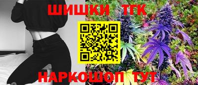 кокс Гатчина