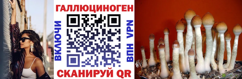 Псилоцибиновые грибы MAGIC MUSHROOMS  дарнет шоп  Вязники 