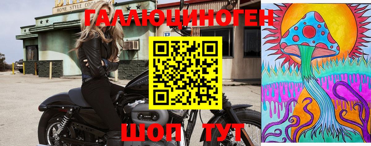 Вязники  Псилоцибиновые грибы Magic Shrooms  Псилоцибиновые грибы мицелий  Вход с VPN 