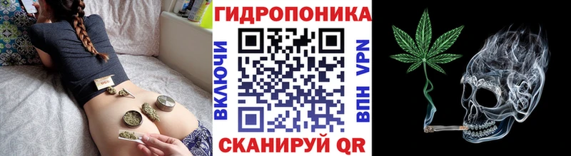 Бошки марихуана марихуана  где купить наркотик  ссылка на мегу ТОР  Вязники 